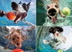 Underwater Dogs: Play Ball 1000-Piece Puzzle