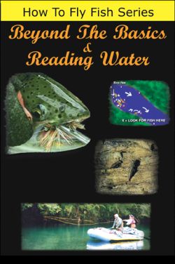 Beyond The Basics & Reading Water - DVD