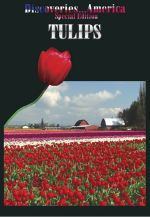 Discoveries-America Special Edition, Tulips - DVD