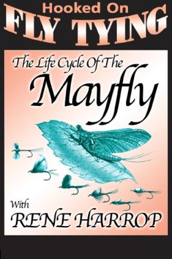 Life Cycle of the Mayfly - Rene Harrop - DVD