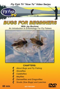 Bugs for Beginners DVD