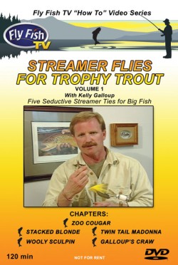 Streamer Flies For Trophy Trout DVD