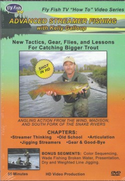 Advanced Streamer Fishing DVD