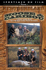 Newfoundland Moose and Caribou DVD