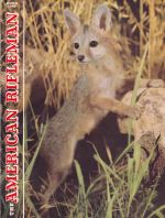 Vintage American Rifleman Magazine - March, 1958 - Very Good Condition