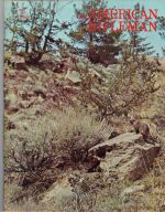 Vintage American Rifleman Magazine - May, 1973 - Very Good Condition