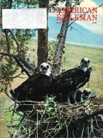 Vintage American Rifleman Magazine - March, 1976 - Very Good Condition