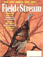 Field & Stream