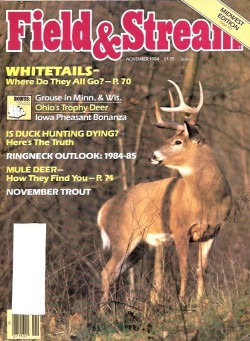 Vintage Field and Stream Magazine - November, 1984 - Like New Condition - Northeast Edition