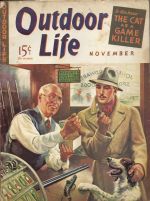 Vintage Outdoor Life Magazine - November, 1941 - Good Condition