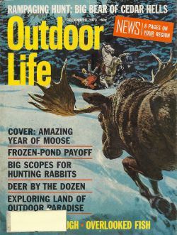 Vintage Outdoor Life Magazine - December, 1973 - Very Good Condition - Northeast Edition