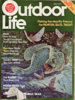 Vintage Outdoor Life Magazine - May, 1977 - Acceptable Condition - Midwest Edition