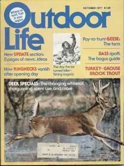 Vintage Outdoor Life Magazine - October, 1977 - Very Good Condition - Northeast Edition