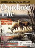 Vintage Outdoor Lif...