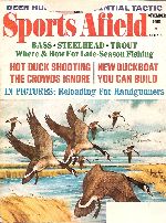 Vintage Sports Afield Magazine - November, 1968 - Acceptable Condition
