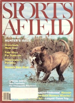 Vintage Sports Afield Magazine - November, 1982 - Like New Condition