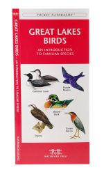 Great Lakes Birds - A Pocket Naturalist Guide (9781583550922)