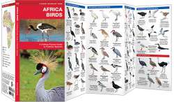 Africa Birds