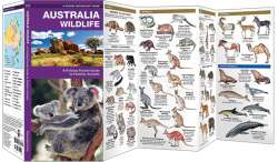 Australia Wildlife