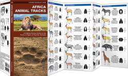 African Animal Tracks