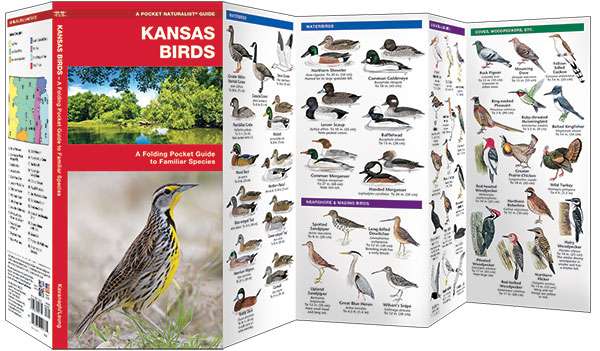 2023-2024 Kansas Otoño y primavera Atlas de caza by Kansas Department of  Wildlife & Parks - Issuu