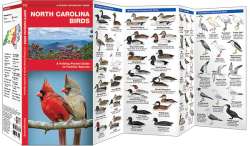 North Carolina Birds - A Pocket Naturalist Guide