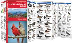 North Carolina Birds