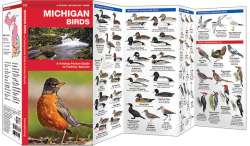Michigan Birds