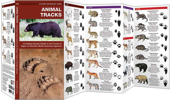 Animal Tracks Guide to Animal Trac… Animal Tracks Pocket Guide Hunting 