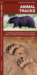 Animal Tracks - A Pocket Naturalist Guide (9781583550724)