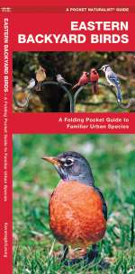 Eastern Backyard Birds - Pocket Guide
