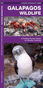 Galapagos Wildlife - Pocket Guide
