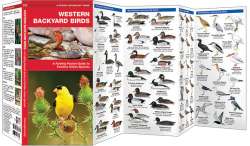 Western Backyard Birds