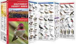 Southwest Desert Birds