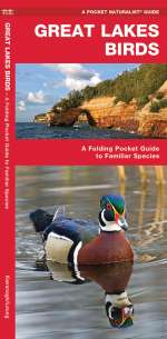 Great Lakes Birds - Pocket Guide