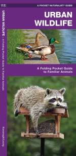 Urban Wildlife - Pocket Guide