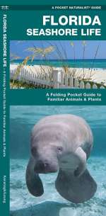 Florida Seashore Life - Pocket Guide