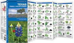 Texas Trees & Wildflowers