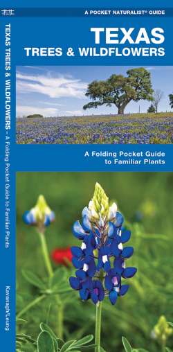 Texas Trees & Wildflowers - A Pocket Naturalist Guide