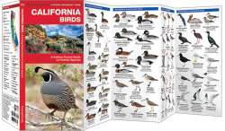 California Birds