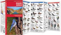 Idaho Birds