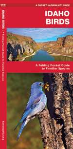 Idaho Birds - A Pocket Naturalist Guide (9781583551028)