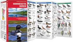 Minnesota Birds