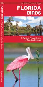 Florida Birds - Pocket Guide
