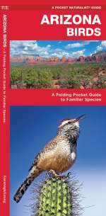 Arizona Birds - A Pocket Naturalist Guide (9781583551073)