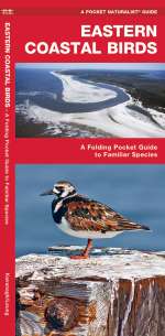 Eastern Coastal Birds - Pocket Guide