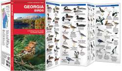 Georgia Birds - A Pocket Naturalist Guide