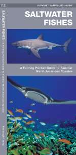 Saltwater Fishes - Pocket Guide