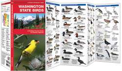 Washington State Birds
