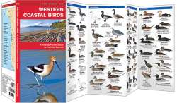 Western Coastal Birds